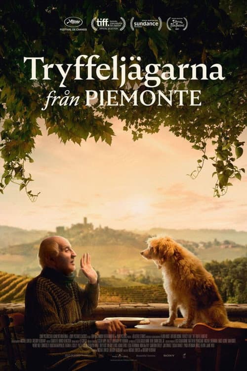 Tryffeljägarna från Piemonte poster