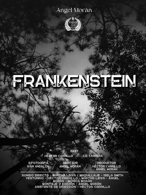 Frankenstein poster