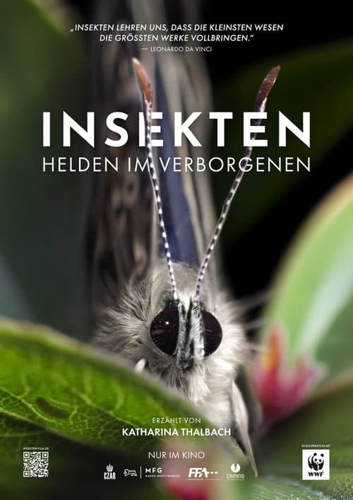 Insects – Hidden Heroes poster