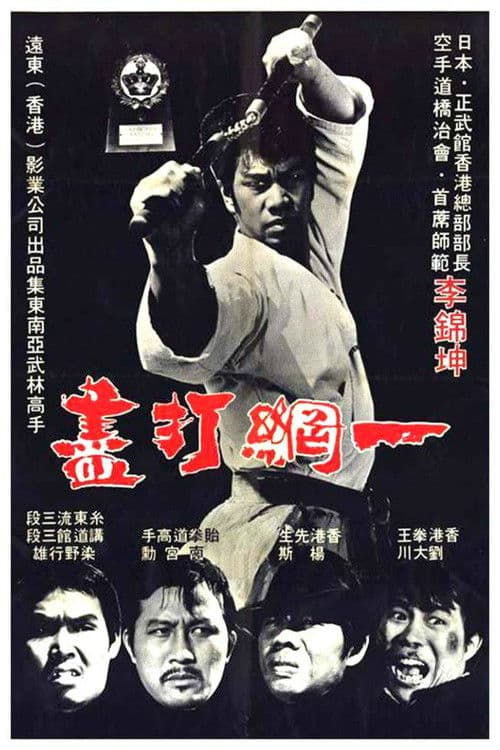 一網打盡 poster