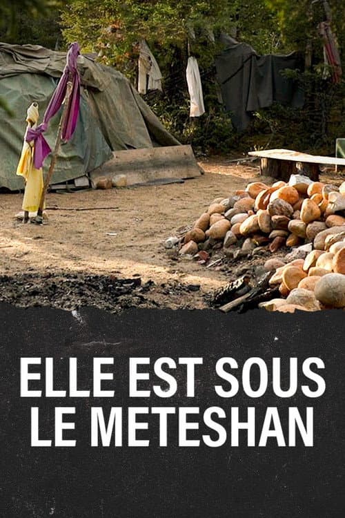 Meteshu innushkueu poster