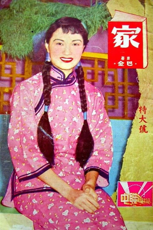 家 poster