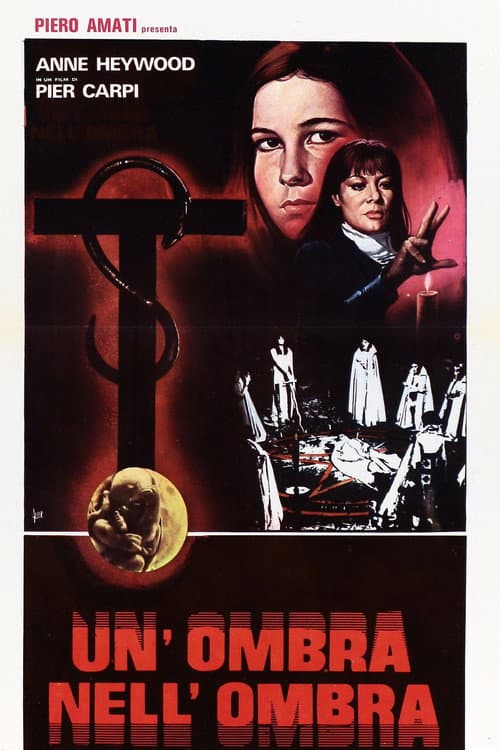 Un ombra nell'ombra poster