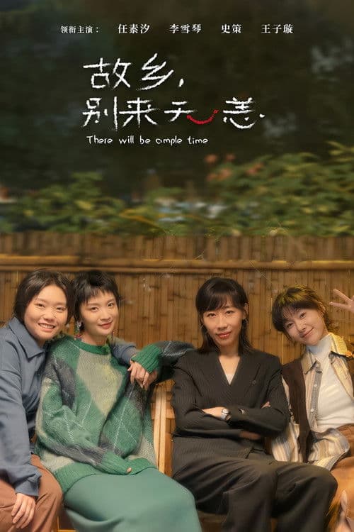 故乡，别来无恙 poster