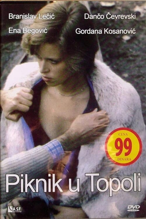 Picnic in Topola poster