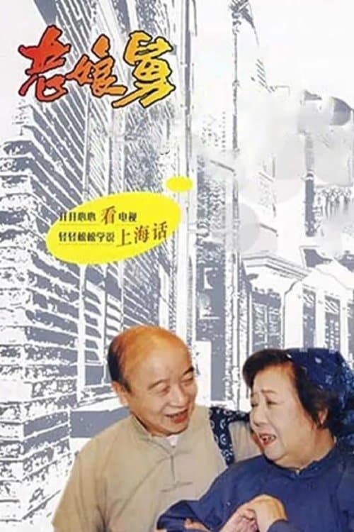 老娘舅 poster