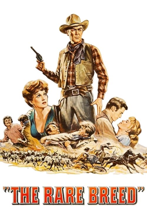 Rancho River poster