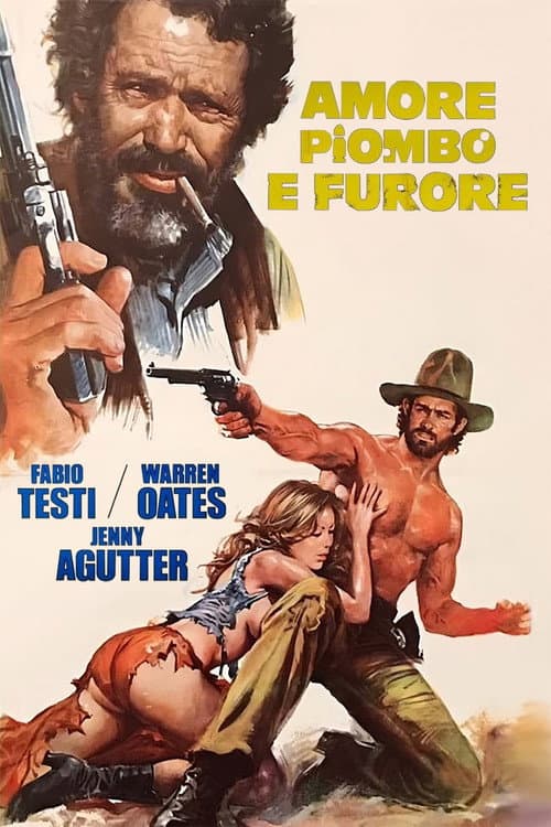 Amore, piombo e furore poster