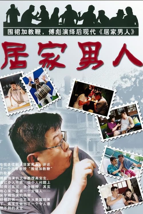 居家男人 poster