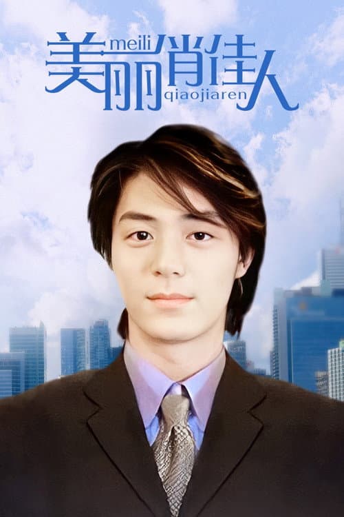 美麗俏佳人 poster