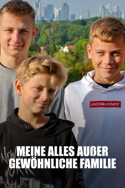 Meine alles außer gewöhnliche Familie poster
