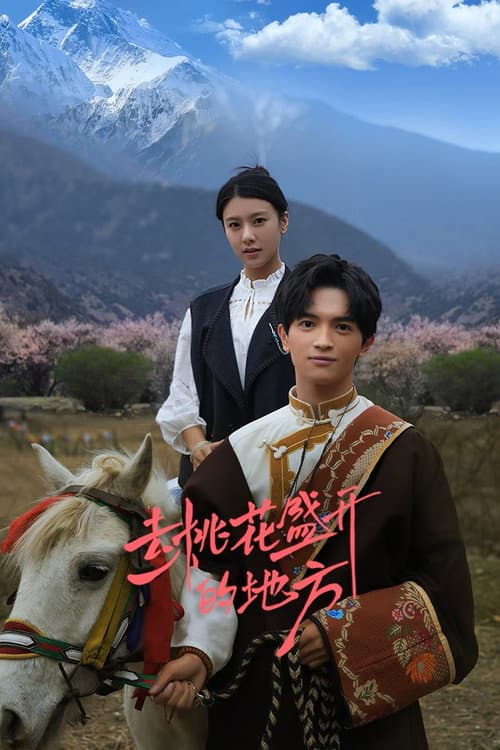 去桃花盛开的地方 poster