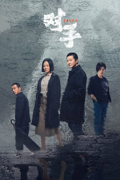 对手 poster