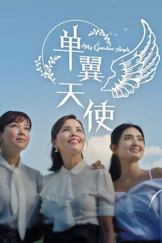 单翼天使 poster