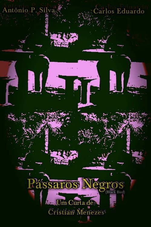 Black Birds poster