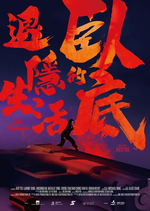 臥底的退隱生活 poster