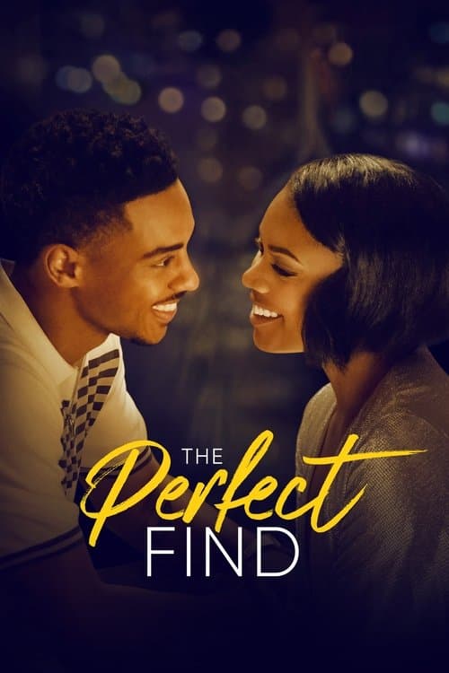 The Perfect Find poster