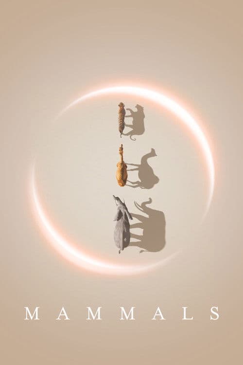 Mammals poster