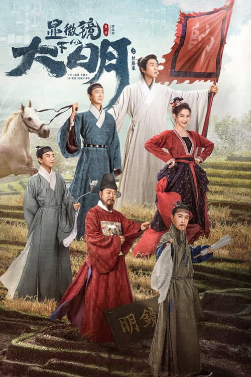 显微镜下的大明之丝绢案 poster