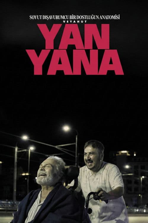 Soyut Dışavurumcu Bir Dostluğun Anatomisi Veyahut Yan Yana poster