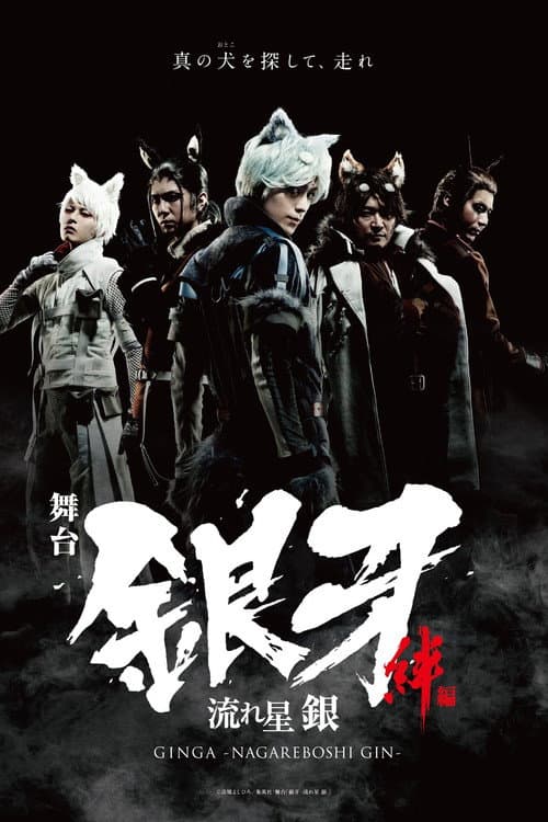 Silver Fang -The Shooting Star Gin part 1- The Ties of Friendship poster