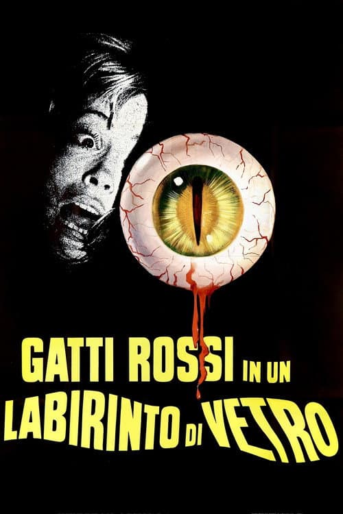 Gatti rossi in un labirinto di vetro poster