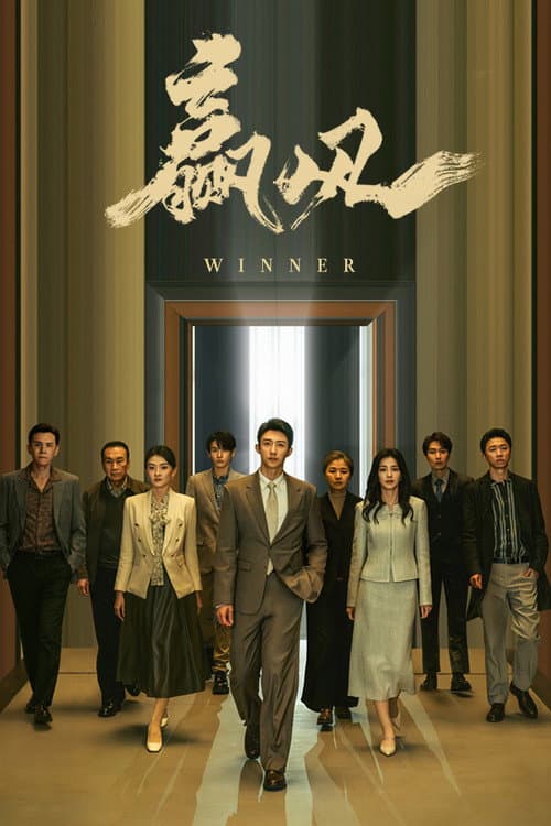 赢风 poster