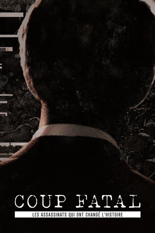 Fatal Shot poster