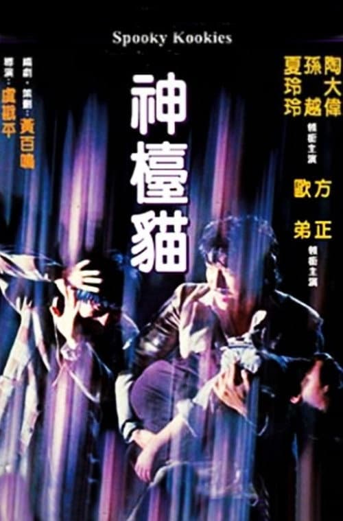 神檯貓 poster