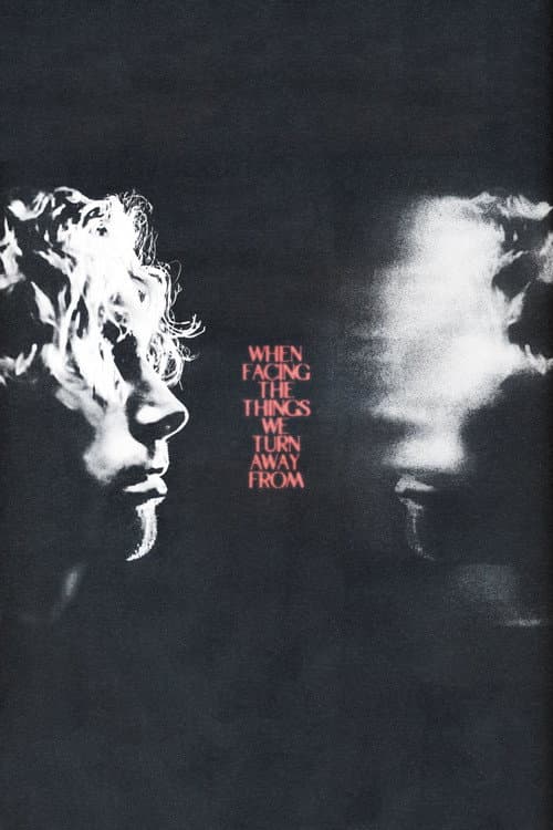 When Facing the Things We Turn Away From poster