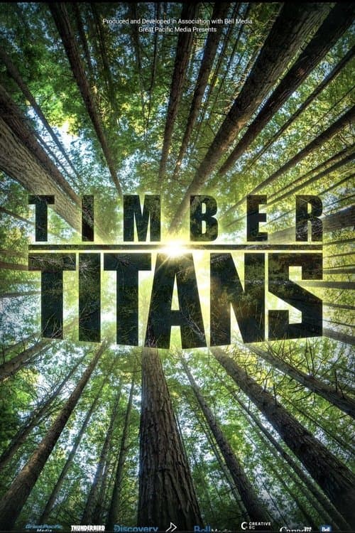 Timmergudarna poster