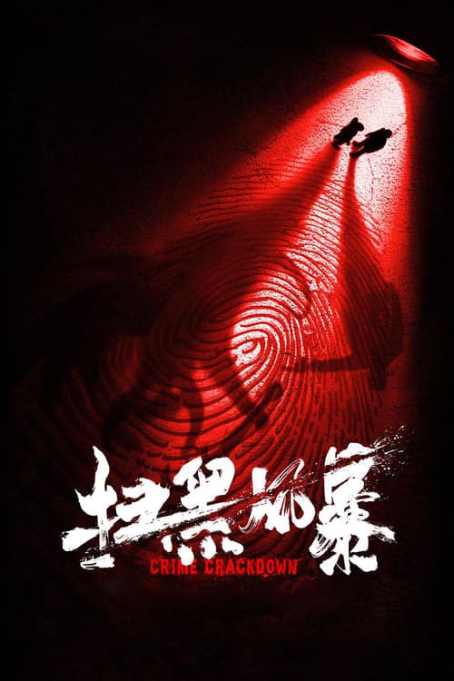 扫黑风暴 poster
