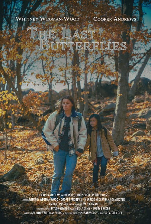 The Last Butterflies poster