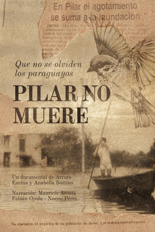 Pilar no muere poster