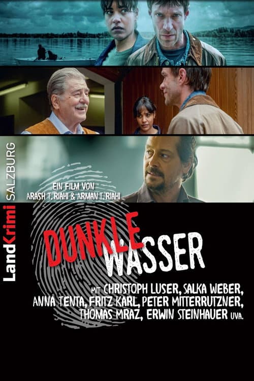Dark Waters poster