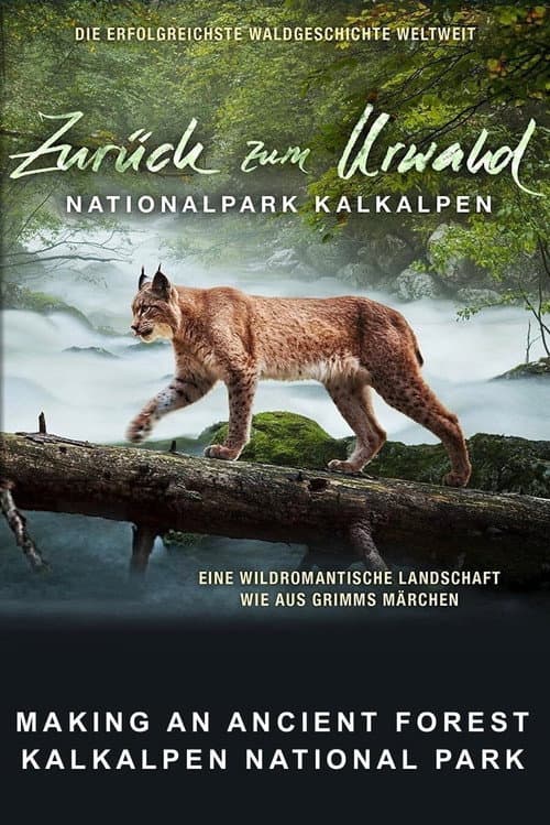 Making An Ancient Forest - Kalkalpen National Park poster