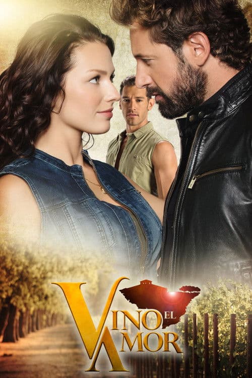 Vino el amor poster
