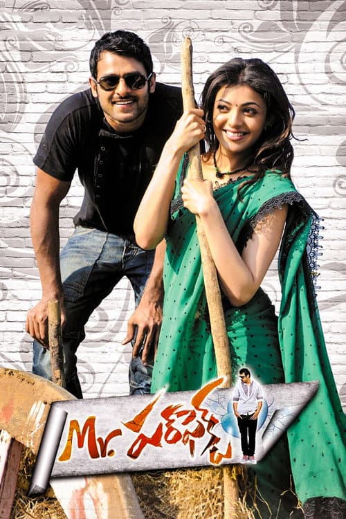 Mr. పర్‌ఫెక్ట్ poster