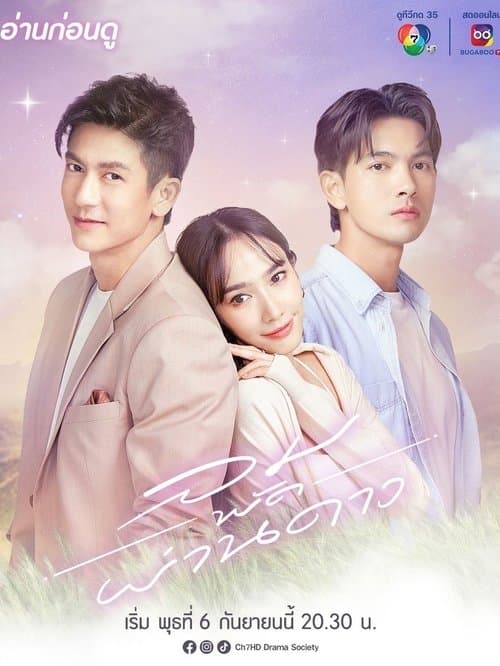 Something In The Wind poster