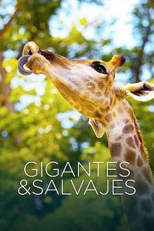 Gigantes y salvajes poster