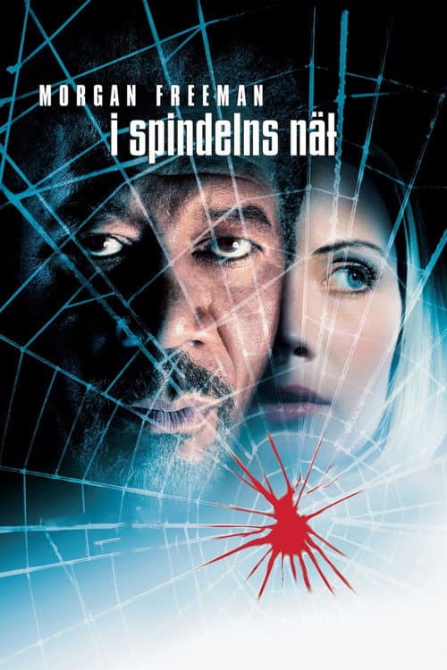 I spindelns nät poster