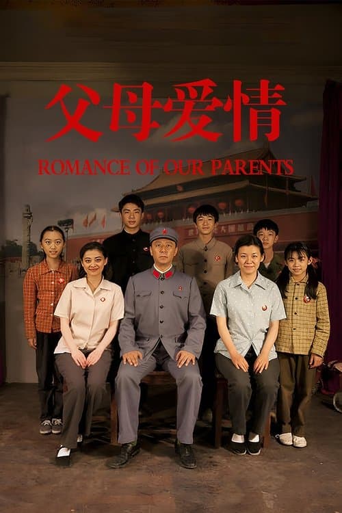 父母爱情 poster