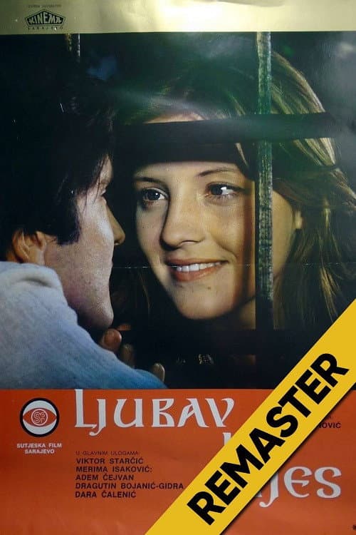 Ljubav i bijes poster