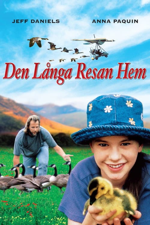 Den långa resan hem poster