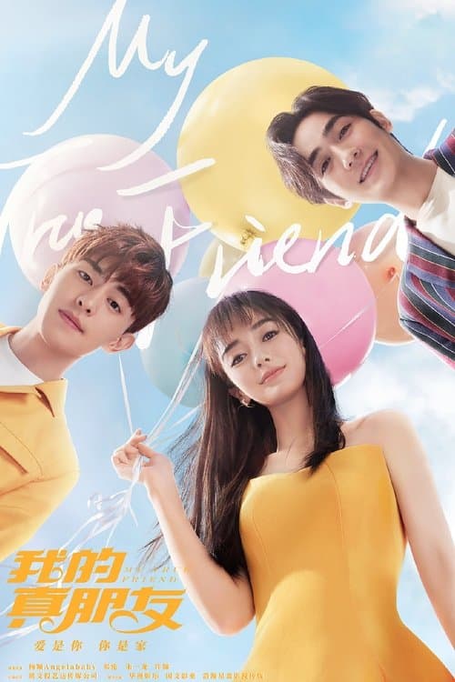 我的真朋友 poster