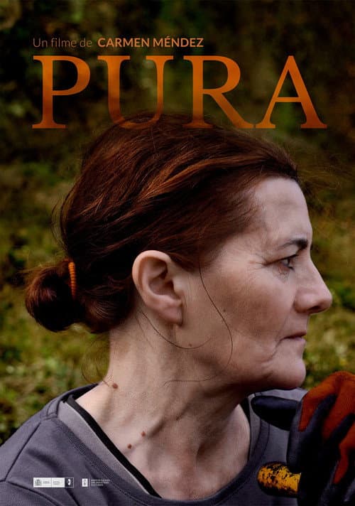 Pura poster