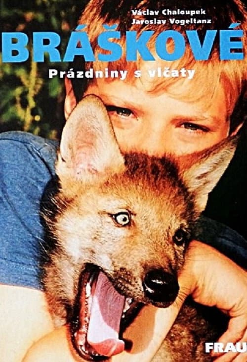 Bráškové poster