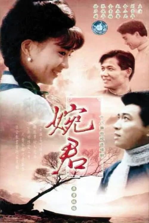 婉君 poster