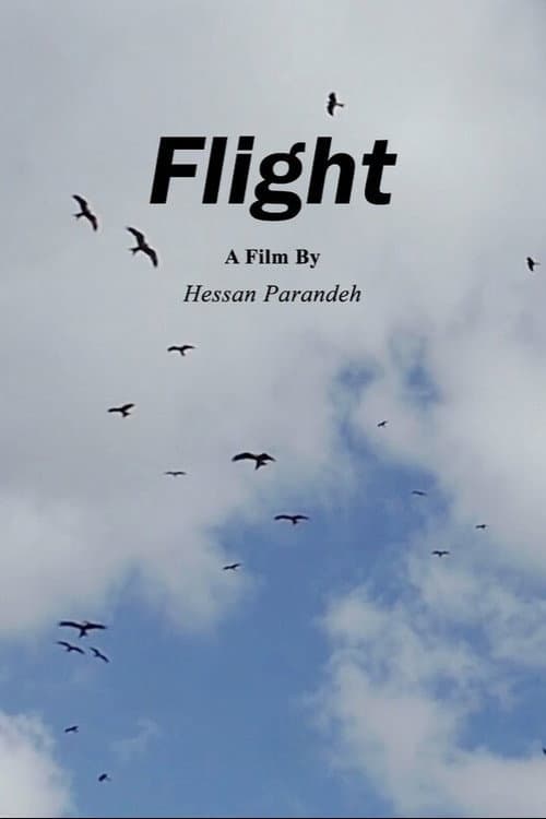 Flight poster
