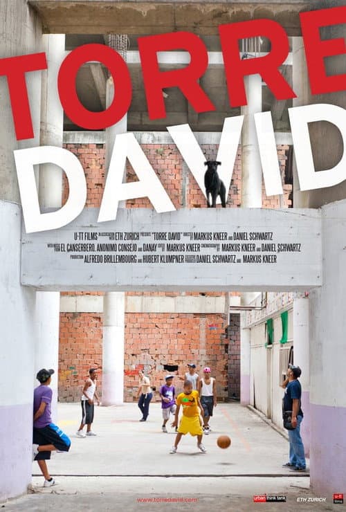 Torre David poster